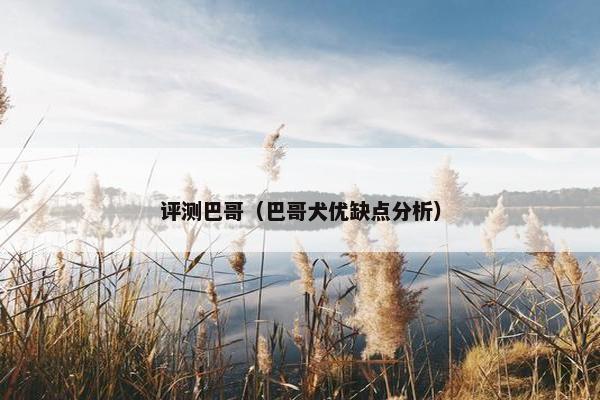 评测巴哥（巴哥犬优缺点分析）