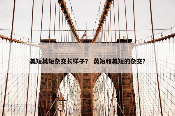 美短英短杂交长样子？ 英短和美短的杂交？