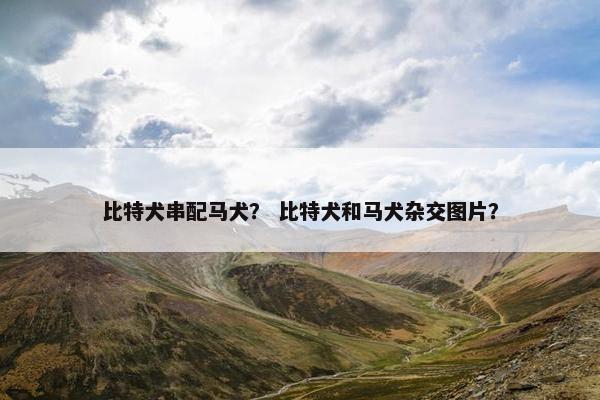 比特犬串配马犬？ 比特犬和马犬杂交图片？