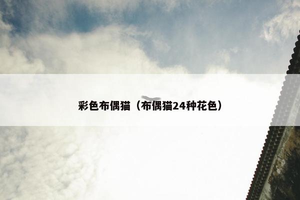 彩色布偶猫（布偶猫24种花色）