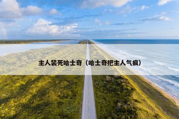 主人装死哈士奇（哈士奇把主人气疯）