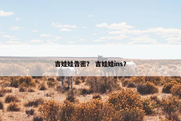 吉娃娃告密？ 吉娃娃ins？