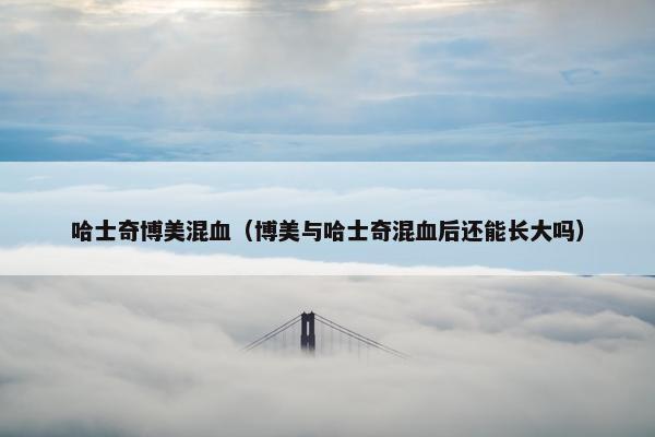 哈士奇博美混血（博美与哈士奇混血后还能长大吗）