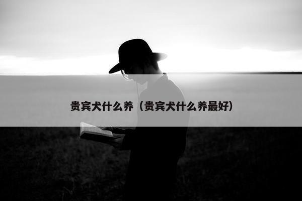 贵宾犬什么养（贵宾犬什么养最好）