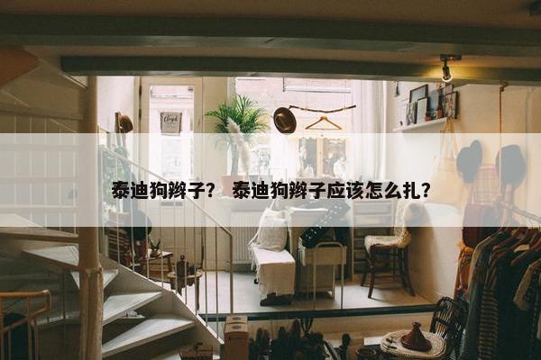 泰迪狗辫子？ 泰迪狗辫子应该怎么扎？