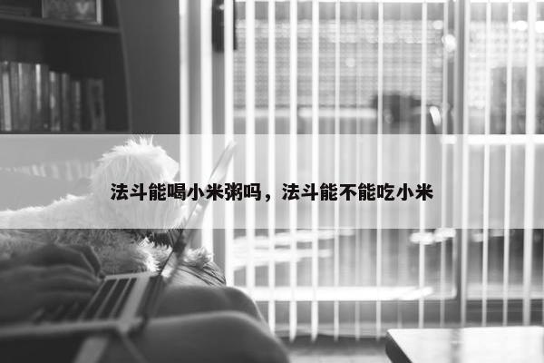 法斗能喝小米粥吗，法斗能不能吃小米
