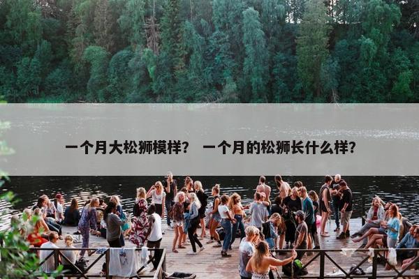 一个月大松狮模样？ 一个月的松狮长什么样？