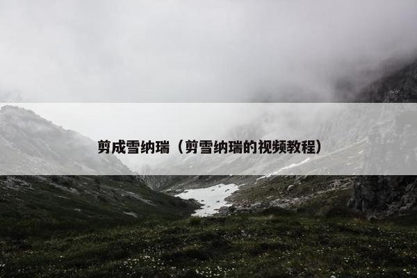 剪成雪纳瑞（剪雪纳瑞的视频教程）