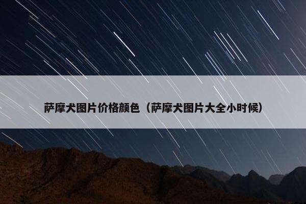 萨摩犬图片价格颜色（萨摩犬图片大全小时候）