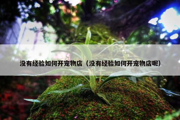 没有经验如何开宠物店（没有经验如何开宠物店呢）