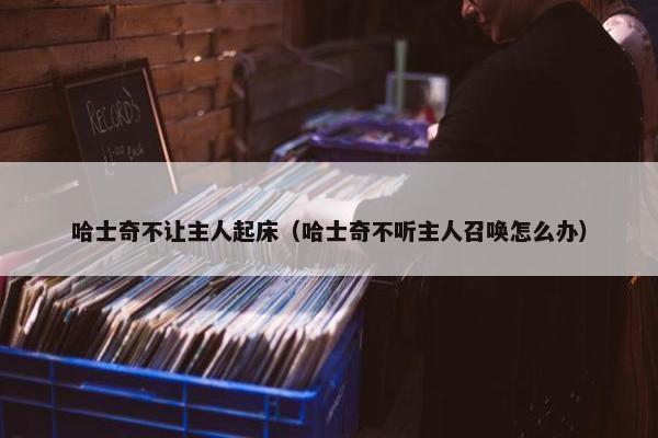 哈士奇不让主人起床（哈士奇不听主人召唤怎么办）