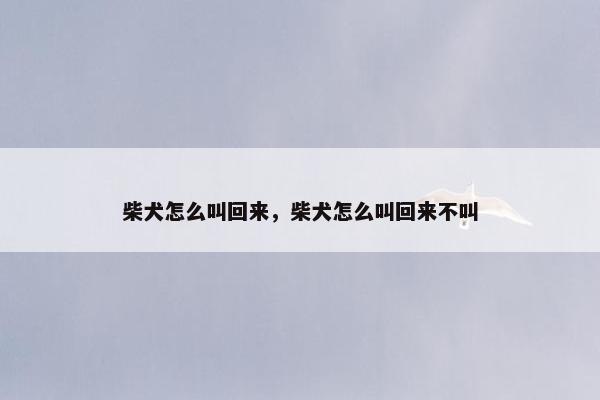 柴犬怎么叫回来，柴犬怎么叫回来不叫