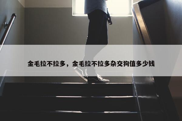 金毛拉不拉多，金毛拉不拉多杂交狗值多少钱
