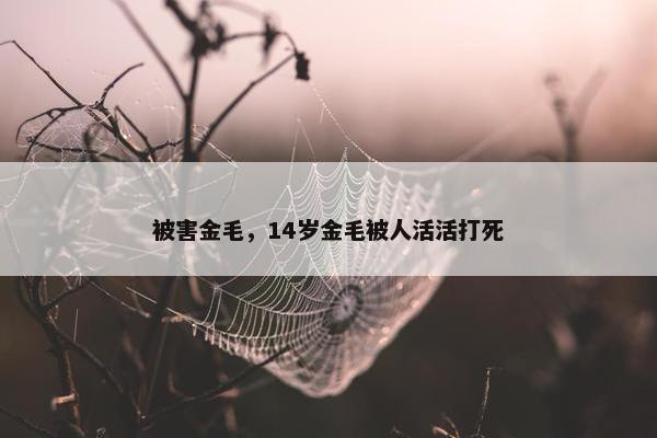 被害金毛，14岁金毛被人活活打死