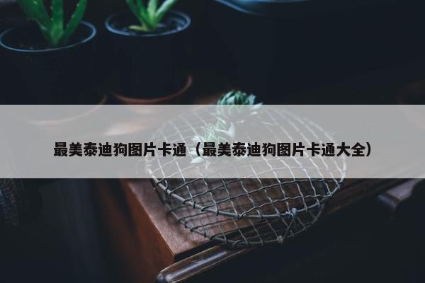 最美泰迪狗图片卡通（最美泰迪狗图片卡通大全）