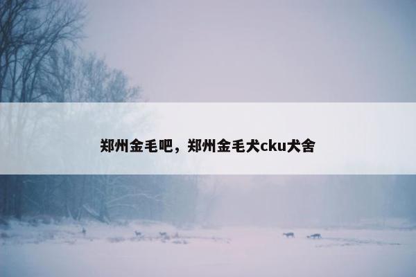 郑州金毛吧，郑州金毛犬cku犬舍