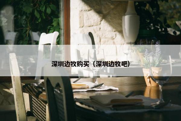深圳边牧购买（深圳边牧吧）