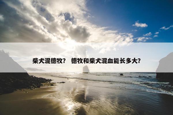 柴犬混德牧？ 德牧和柴犬混血能长多大？
