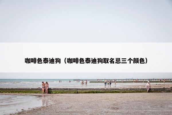 咖啡色泰迪狗（咖啡色泰迪狗取名忌三个颜色）