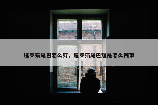 暹罗猫尾巴怎么剪，暹罗猫尾巴短是怎么回事
