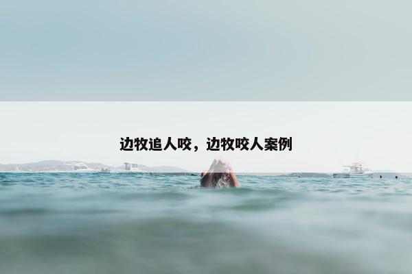 边牧追人咬，边牧咬人案例