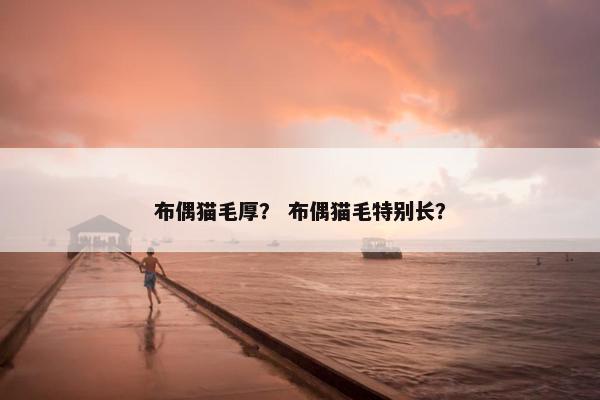 布偶猫毛厚？ 布偶猫毛特别长？