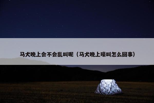 马犬晚上会不会乱叫呢（马犬晚上嚎叫怎么回事）