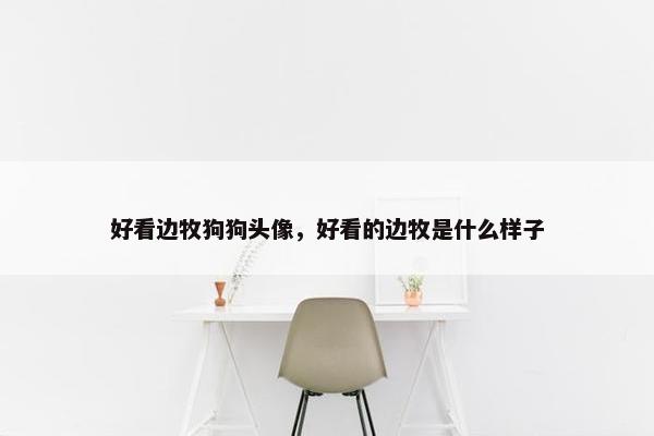 好看边牧狗狗头像，好看的边牧是什么样子
