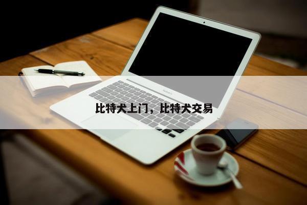 比特犬上门，比特犬交易