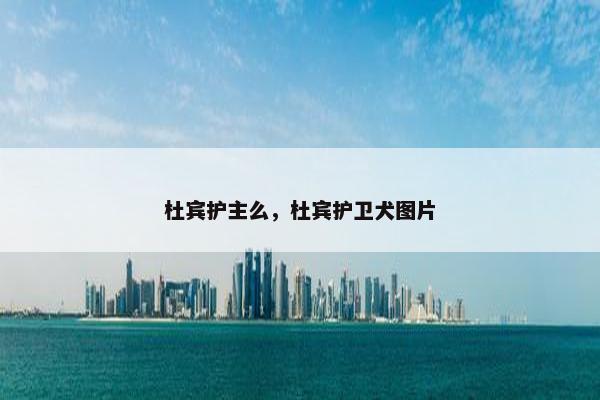 杜宾护主么，杜宾护卫犬图片