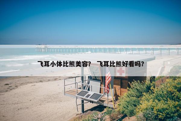 飞耳小体比熊美容？ 飞耳比熊好看吗？