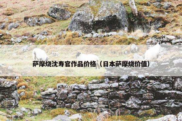 萨摩烧沈寿官作品价格（日本萨摩烧价值）