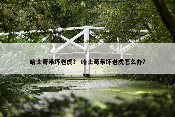 哈士奇带坏老虎？ 哈士奇带坏老虎怎么办？