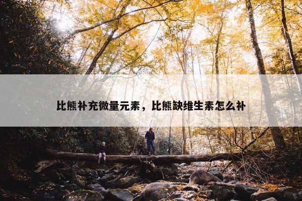 比熊补充微量元素，比熊缺维生素怎么补