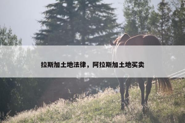拉斯加土地法律，阿拉斯加土地买卖
