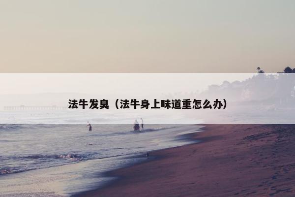 法牛发臭（法牛身上味道重怎么办）