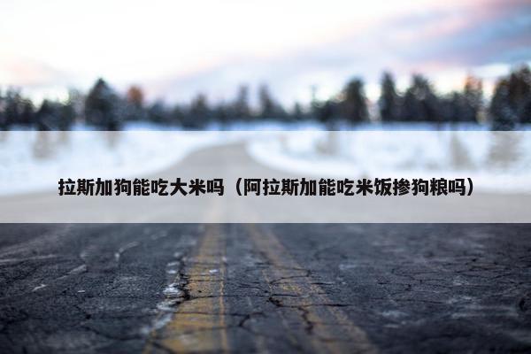 拉斯加狗能吃大米吗（阿拉斯加能吃米饭掺狗粮吗）