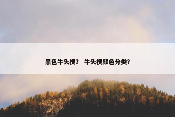黑色牛头梗？ 牛头梗颜色分类？