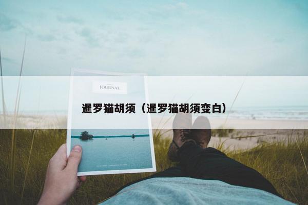 暹罗猫胡须（暹罗猫胡须变白）