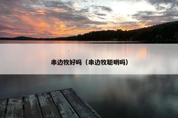 串边牧好吗（串边牧聪明吗）