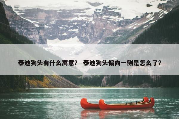 泰迪狗头有什么寓意？ 泰迪狗头偏向一侧是怎么了？
