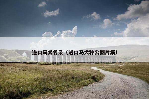 进口马犬名录（进口马犬种公图片集）