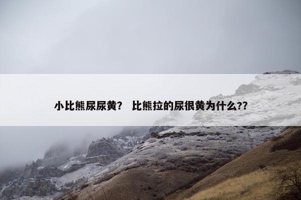 小比熊尿尿黄？ 比熊拉的尿很黄为什么?？