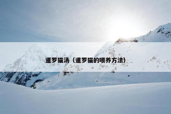 暹罗猫汤（暹罗猫的喂养方法）