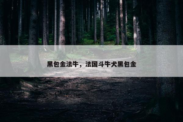 黑包金法牛，法国斗牛犬黑包金