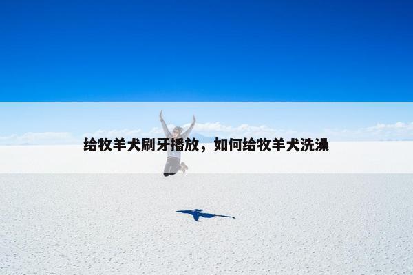 给牧羊犬刷牙播放，如何给牧羊犬洗澡