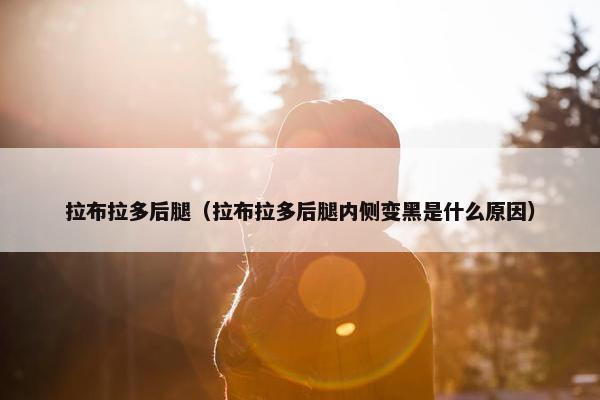 拉布拉多后腿（拉布拉多后腿内侧变黑是什么原因）