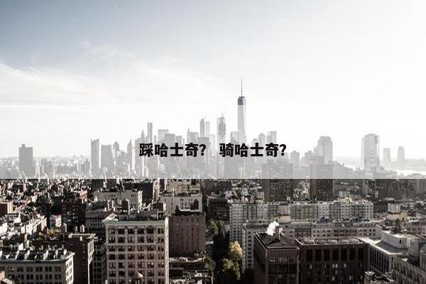 踩哈士奇？ 骑哈士奇？