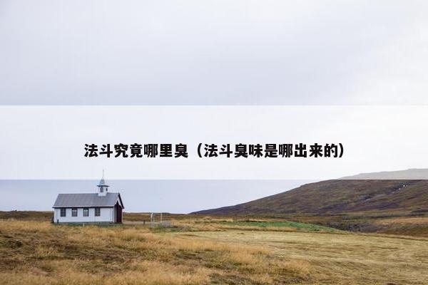 法斗究竟哪里臭（法斗臭味是哪出来的）
