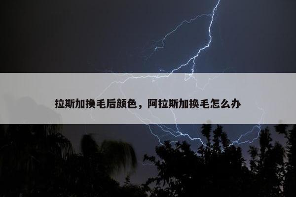 拉斯加换毛后颜色，阿拉斯加换毛怎么办